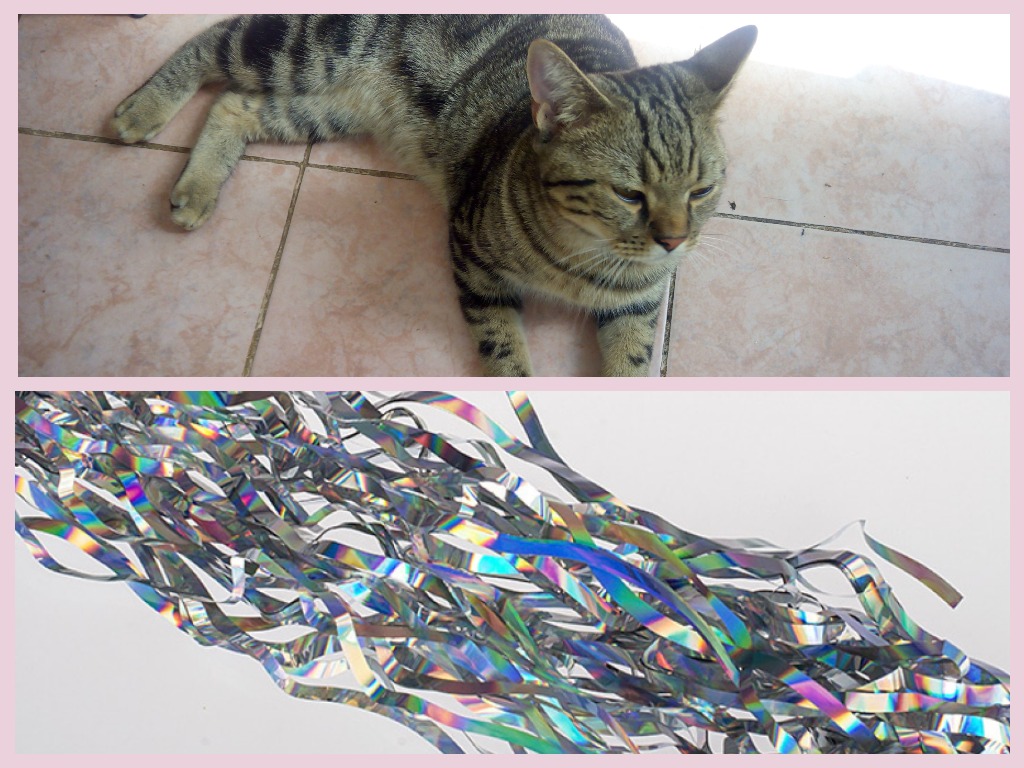 Кот съел дождик с елки что делать? Ситуация не редкая